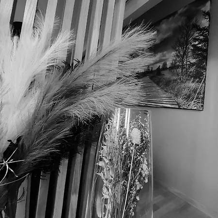 Apartment Au Cerf & Fagnes