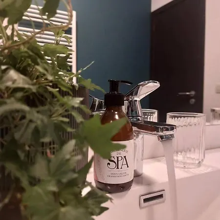 Au Cerf & Fagnes Σπα