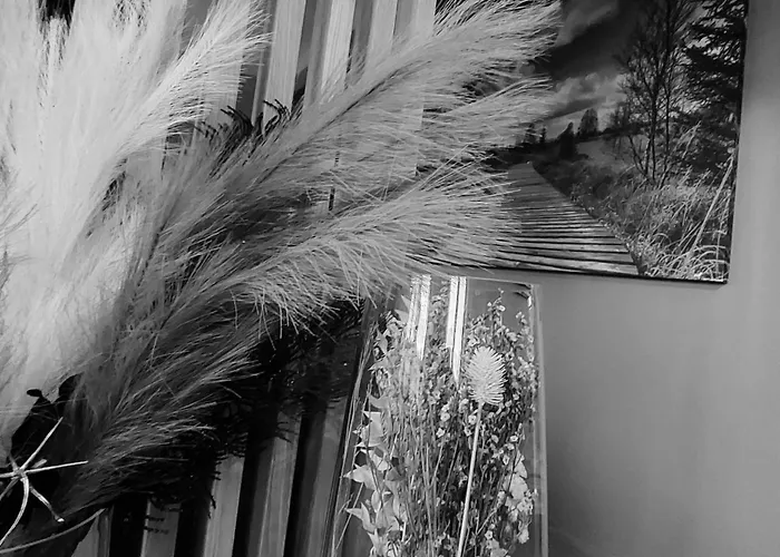 Апартаменты Au Cerf & Fagnes