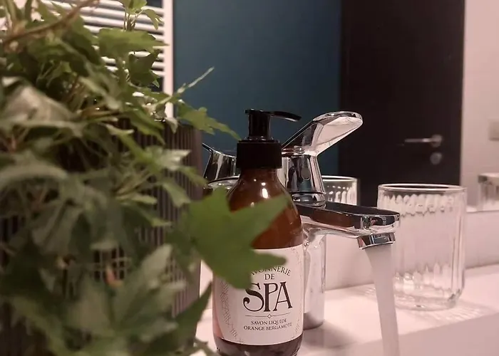 Au Cerf & Fagnes Спа