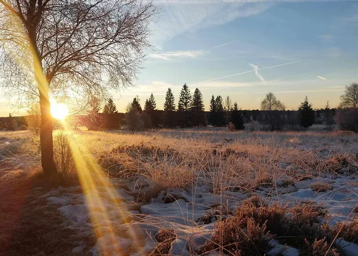 Апартаменты Au Cerf & Fagnes