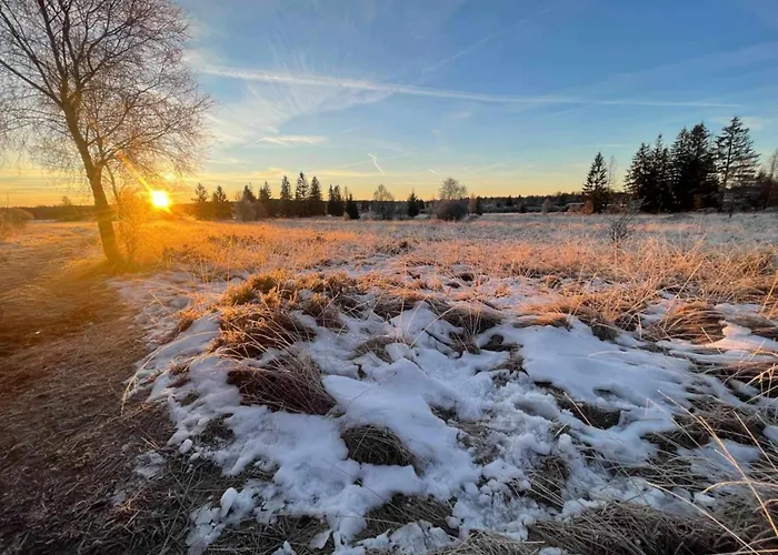 Апартаменты Au Cerf & Fagnes *