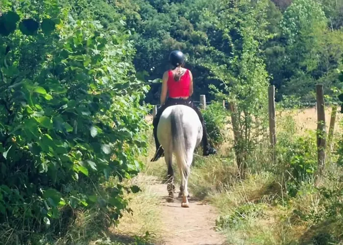 Au Cerf & Fagnes Апартаменты Спа